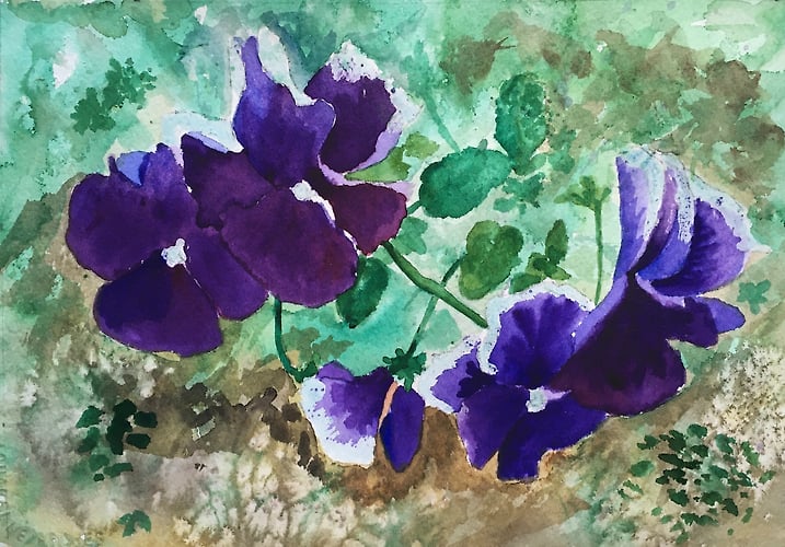 Purple Violets - Penney De Pas