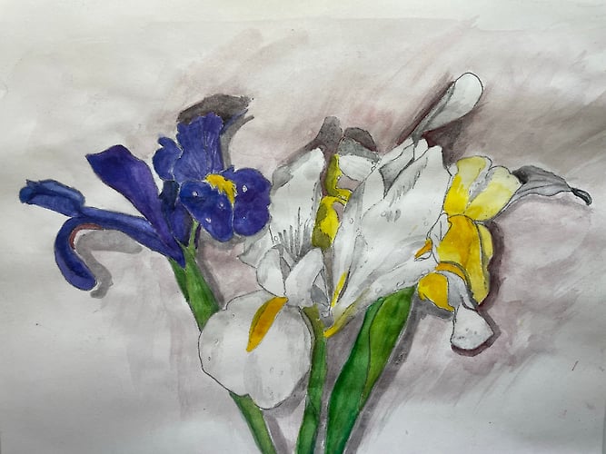 Intertwined Dwarf Irises - Penney De Pas