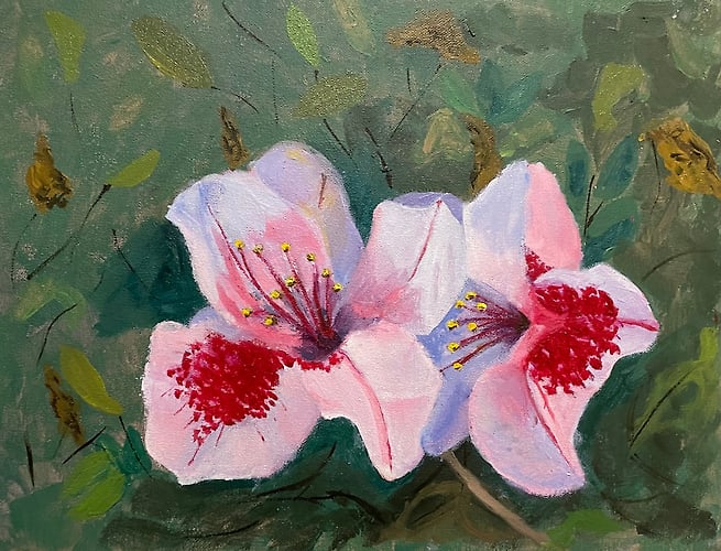 Is it Spring yet? (Pink Encore Azaleas) - Penney De Pas