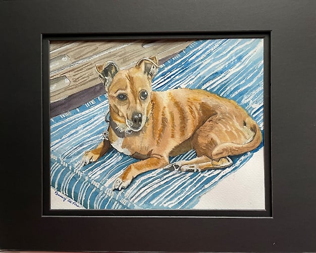 Katie - Penney De Pas