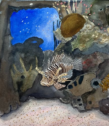 Lionfish in Tank - Penney De Pas