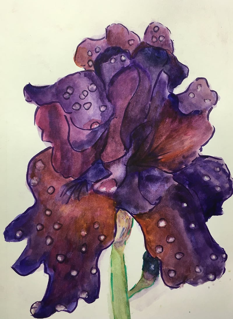 A Womans Reach Artist And Flourishing Artist Coach - Penney De Pas