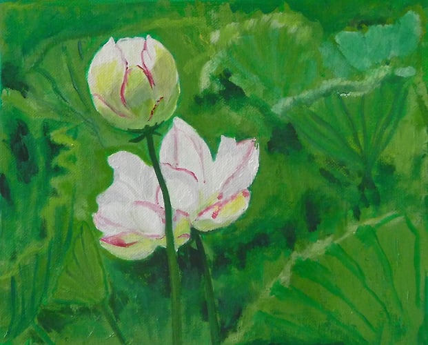 Lotus Blossoms - Penney De Pas