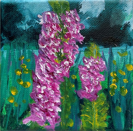 Foxglove at Midnight - Mini - Penney De Pas