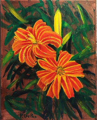 Sumburst Daylilies - Penney De Pas