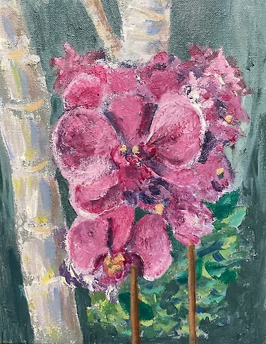 Orchids at the Conservatory - Penney De Pas