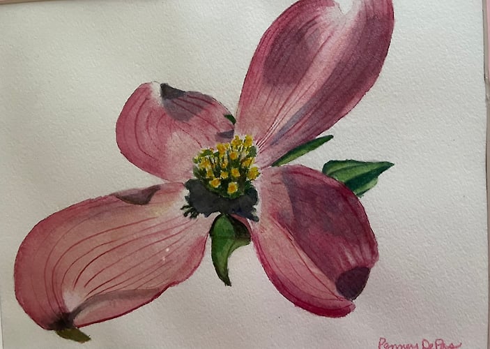 Pink Dogwood Blossoms - Penney De Pas