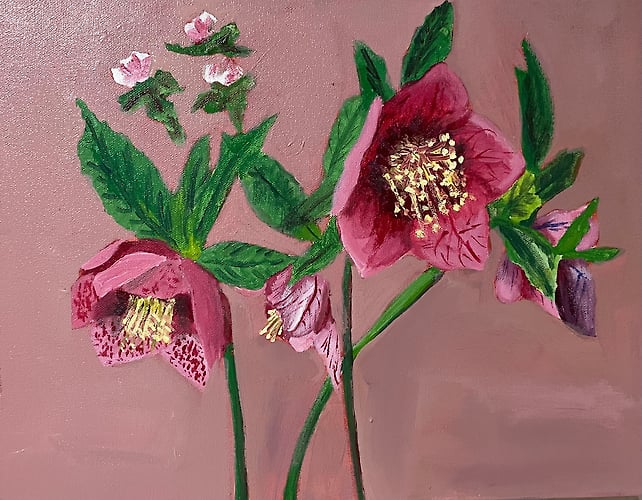 Pink Lenten Roses - Penney De Pas