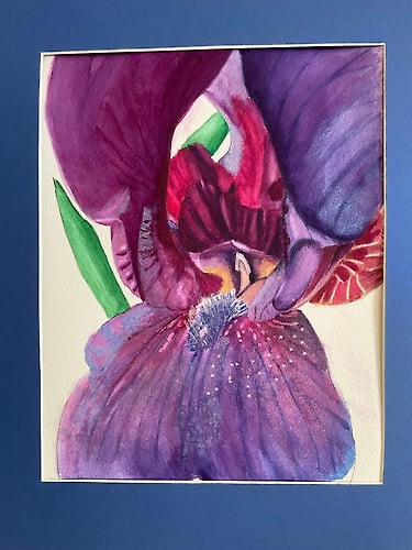 Purple Iris Center - Penney De Pas