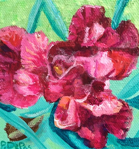 Red Iris-mini - Penney De Pas