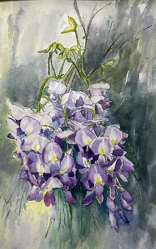 Wisteria in Spring - Penney De Pas
