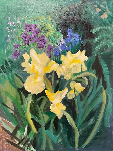 Yellow Irises in Spring - Penney De Pas