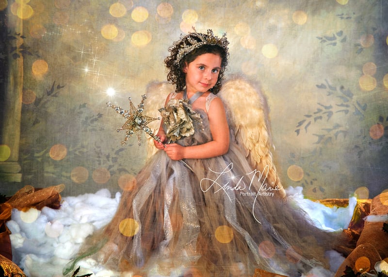 Holiday Galleries - Portrait Artistry by Linda Marie | Newborn, Children & Family Photography