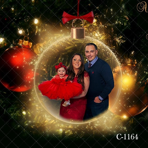 Holiday Galleries - Portrait Artistry by Linda Marie | Newborn, Children & Family Photography