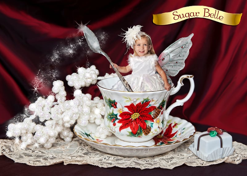 Holiday Galleries - Portrait Artistry by Linda Marie | Newborn, Children & Family Photography