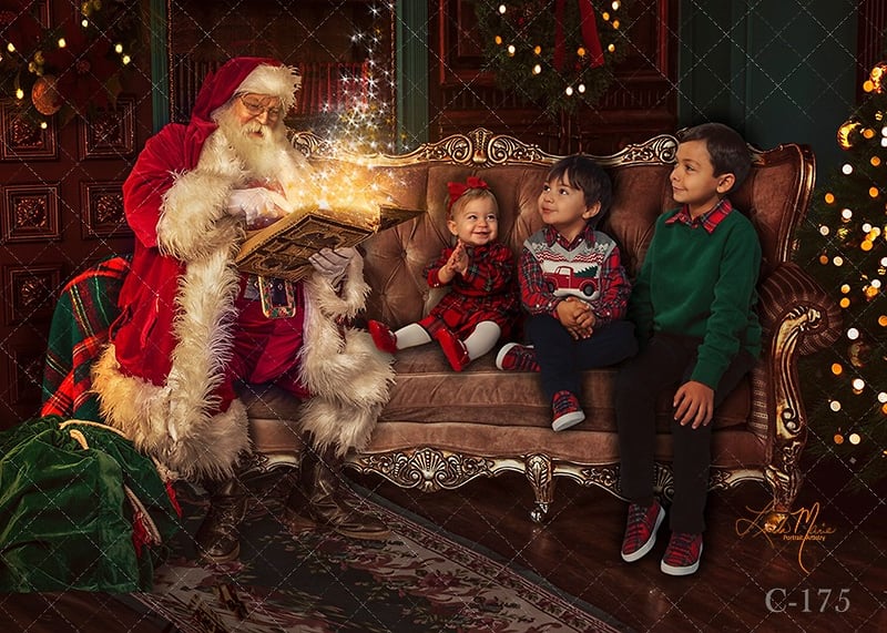 Holiday Galleries - Portrait Artistry by Linda Marie | Newborn, Children & Family Photography