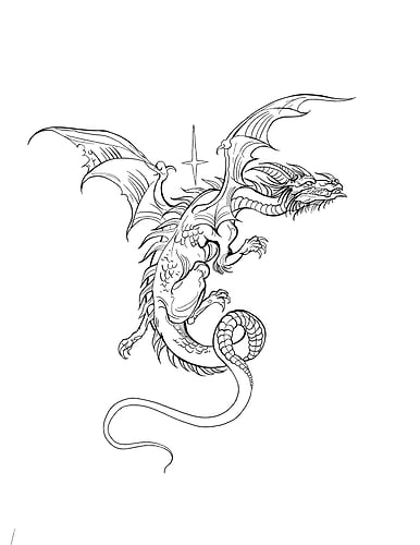 Flash Designs - REILEY JOHNSON