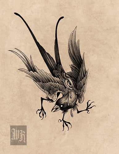 Flash Designs - REILEY JOHNSON