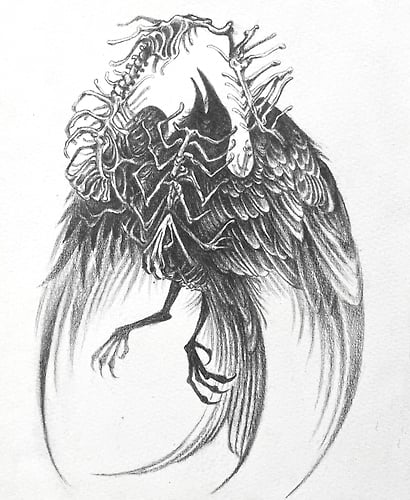 Shedding - REILEY JOHNSON