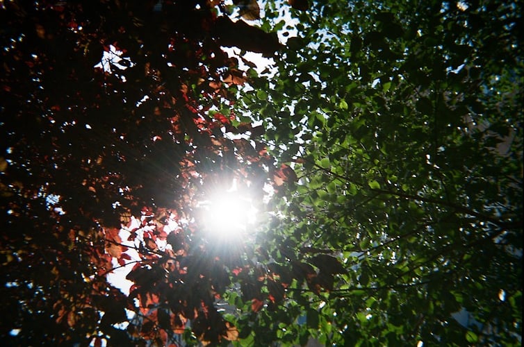 Me And My Community - Renée de Nève Photography