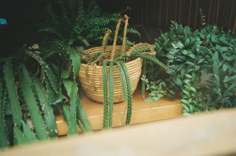 Me And My Community - Renée de Nève Photography