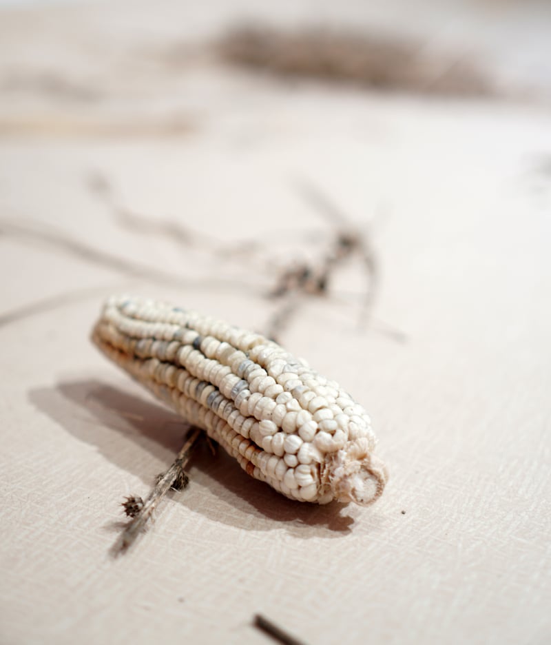 Selected Works - Romain Dumesnil