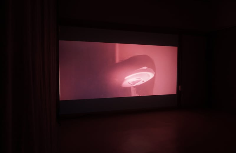 Selected Works - Romain Dumesnil