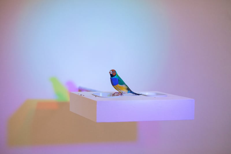 Texts - Romain Dumesnil