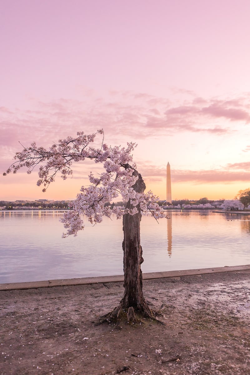 Travel - STUDIO 1527, LLC