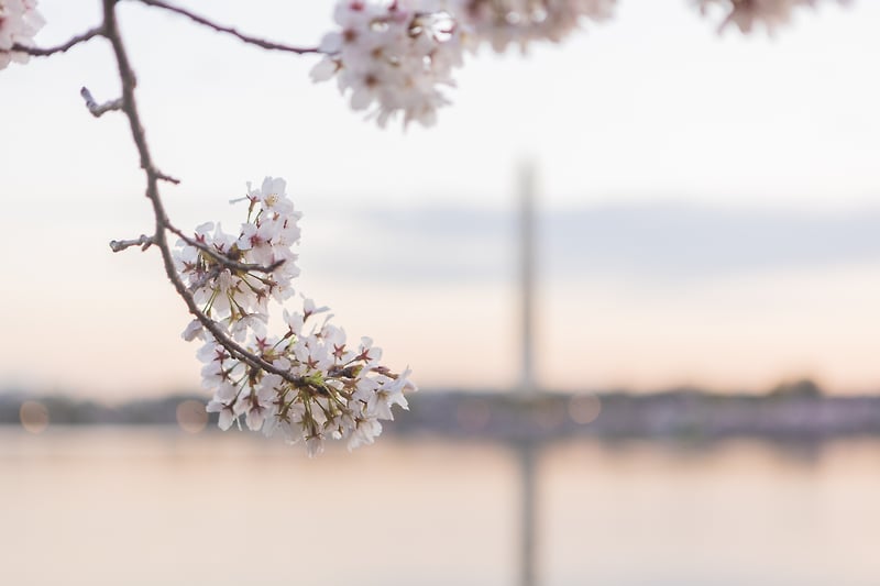 Travel - STUDIO 1527, LLC