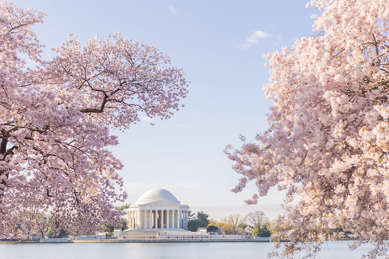 Travel - STUDIO 1527, LLC