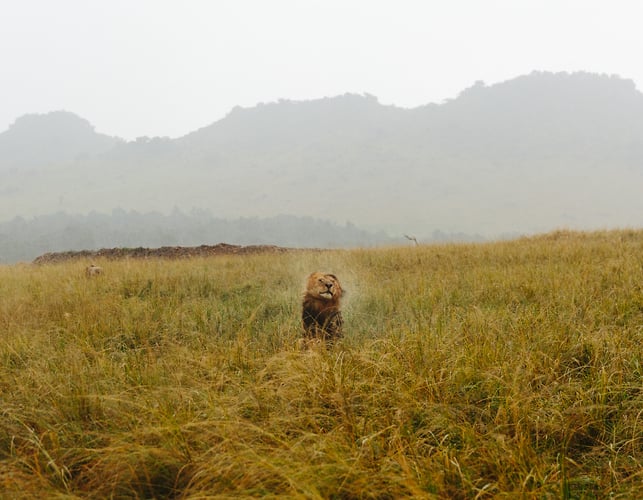 Eyes Wide Open In Kenya Cover Story For Afar - Alex Crétey Systermans