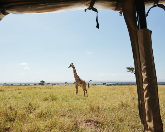 Eyes Wide Open In Kenya Cover Story For Afar - Alex Crétey Systermans