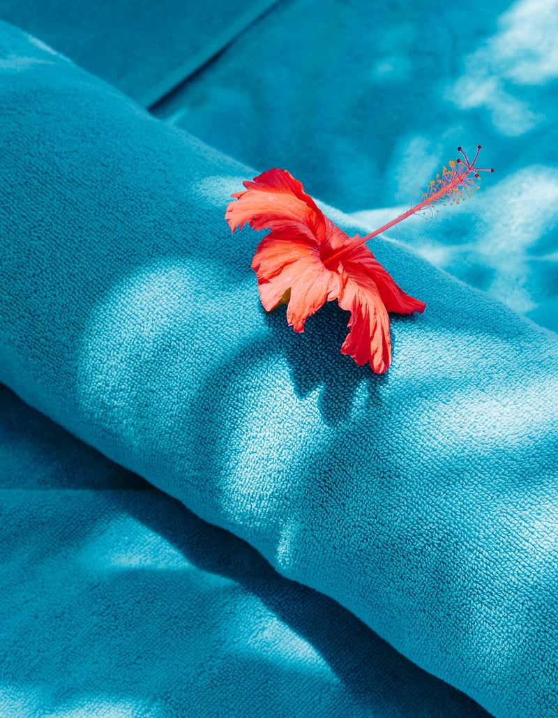 Selected Commissions - Alex Crétey Systermans