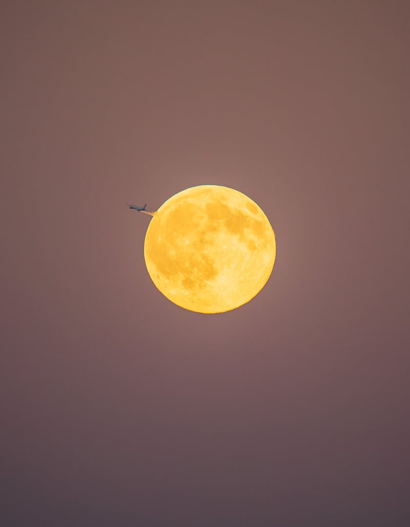 Paris - Alex Crétey Systermans