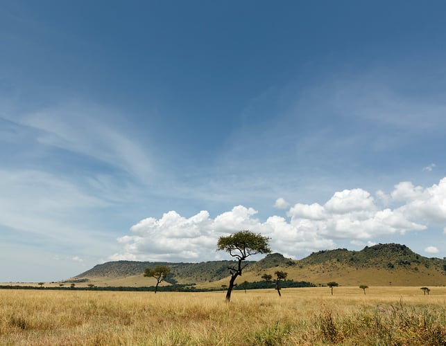 Eyes Wide Open In Kenya Cover Story For Afar - Alex Crétey Systermans