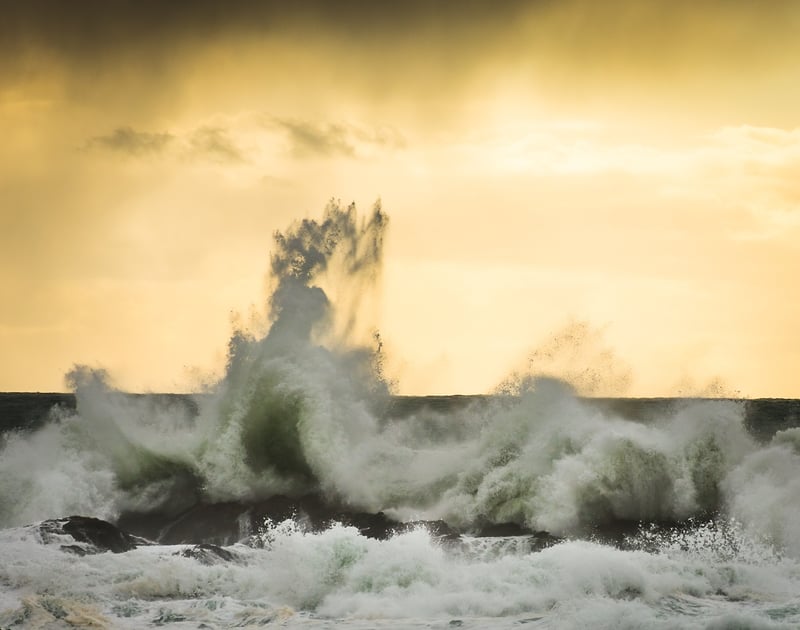 Capture The Coast - Tayu Hayward Photography