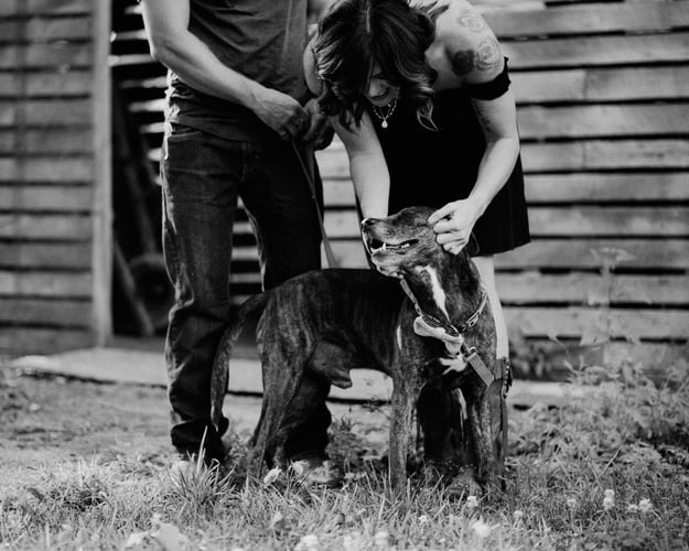 Engagements - TYLER BREEDWELL PHOTOGRAPHY