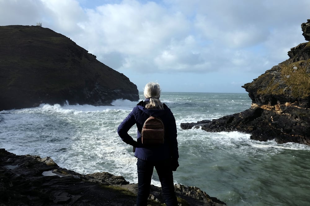 Contact - The Fantastic Mrs. Fox