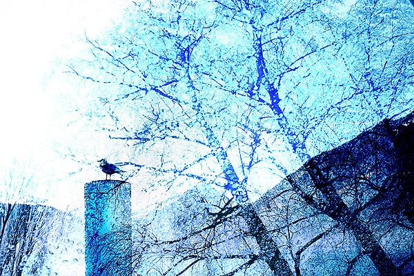 Fast View - YULA-DESIGNS